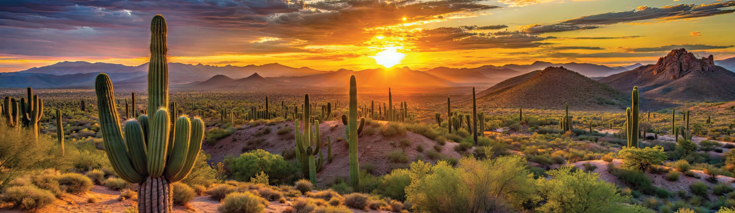 Sunset in the desert of Arizona with a cactus in the foreground